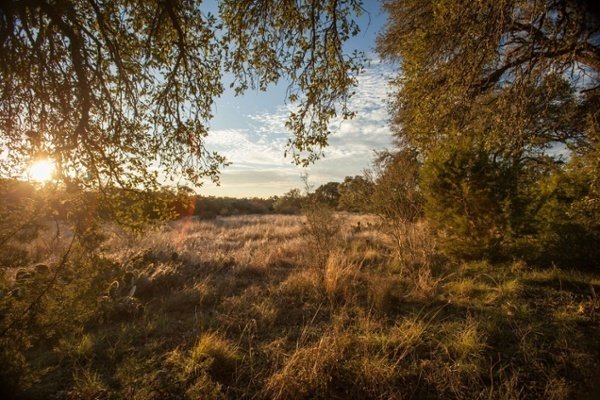 SouthStarLand's tweet photo. It can be more complicated to buy land than a home in #TexasHillCountry. Here are 4 Tips for #LandBuying to keep in mind. https://t.co/vQcoybBLPU https://t.co/1TjtLXRoHQ