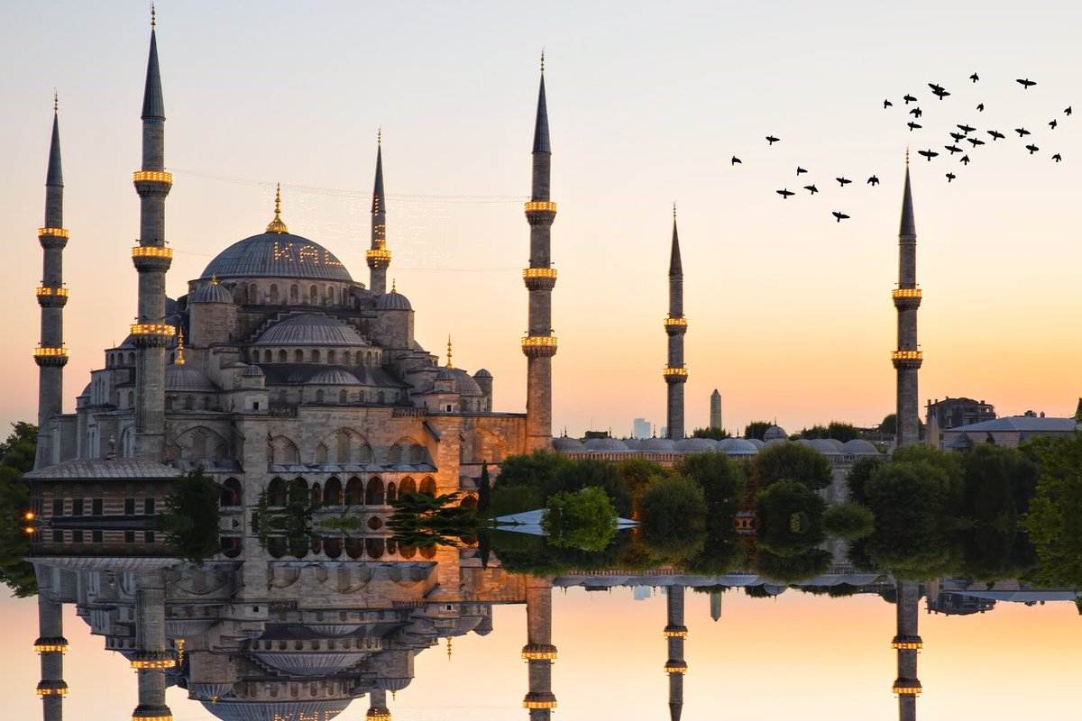 TNT Travel Show tweet media