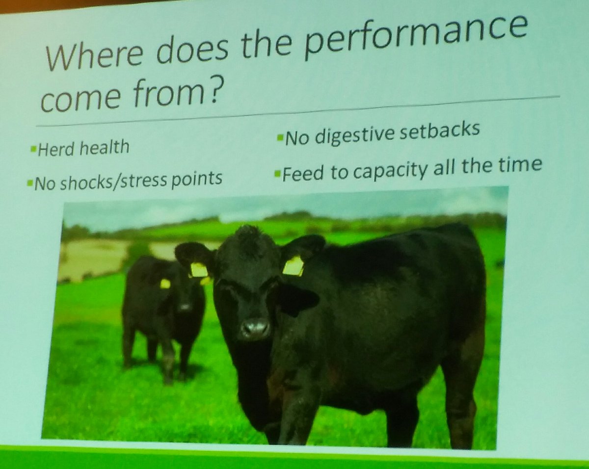 alanhopps's tweet photo. Where does performance come from. AA grass fed cattle.... No meal #ugs18 Struell Farm Paul Turley https://t.co/mNHGUHWDFz