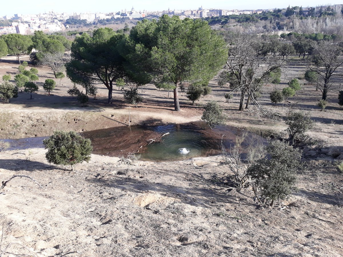 ARFrontelo's tweet photo. @Lineamadrid rotura de tubería en la casa de campo https://t.co/vpSq6Sot4r
