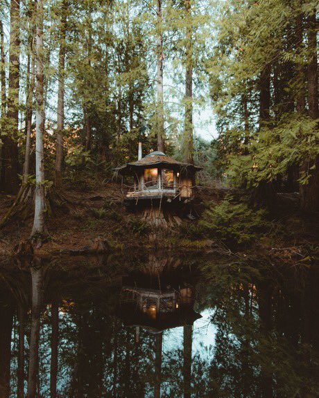 coffee_n_mtns's tweet photo. Fairytale cabin https://t.co/fw7g1jD3GS