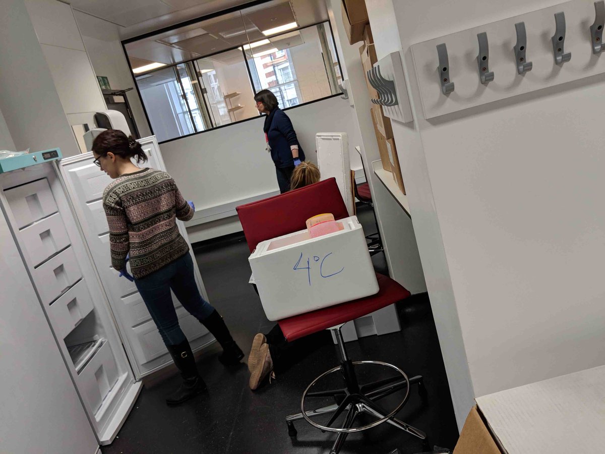 TheGBLab's tweet photo. Very excited to be moving to our brand new @UKDRI lab! Thankful for these amazing (un)packing wizards @MsLeeDarwent @TatianaOrme @susanammcarmona &amp; Ping #NewYearNewLab https://t.co/K0Cjf2SrEY