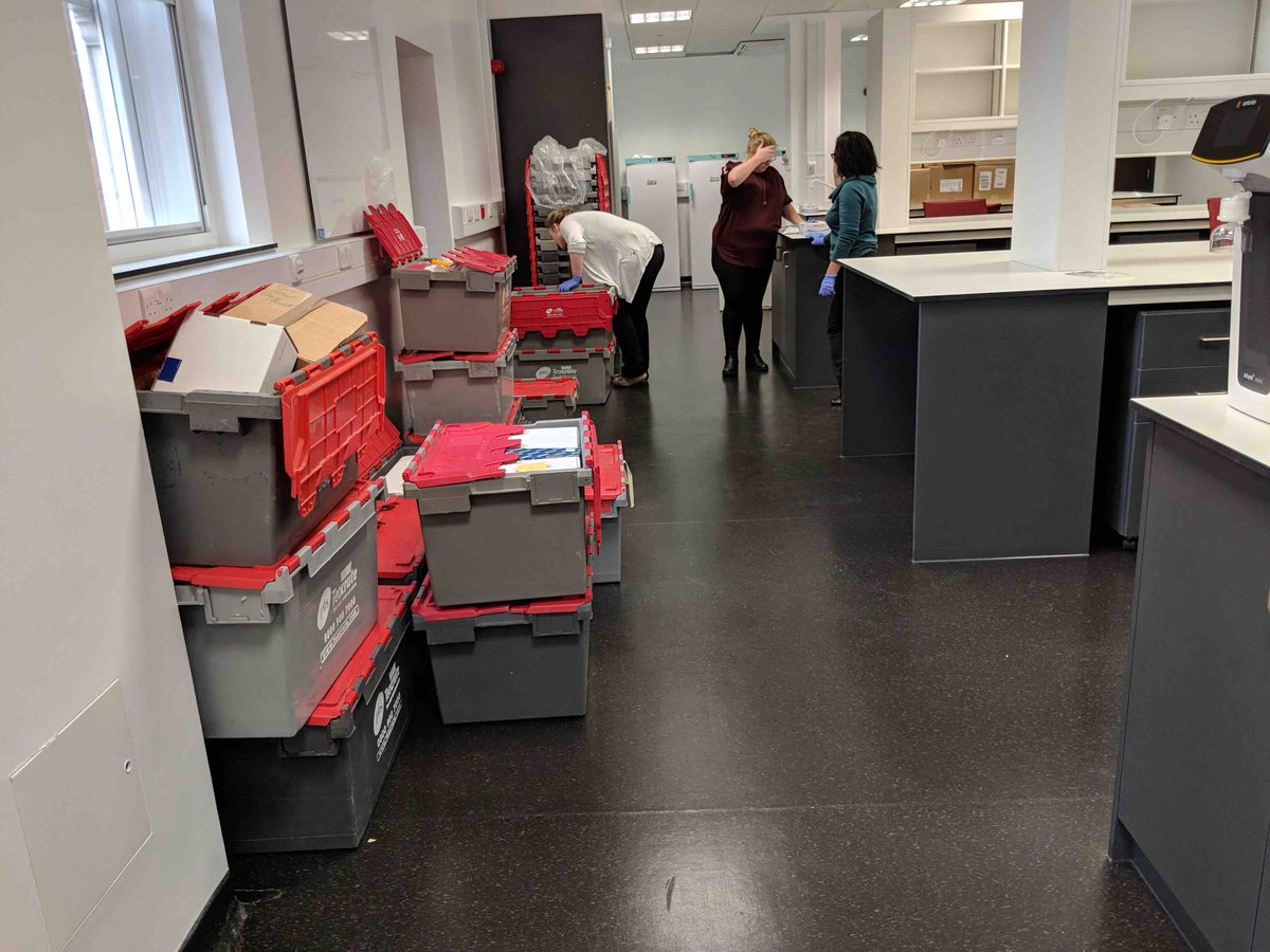 TheGBLab's tweet photo. Very excited to be moving to our brand new @UKDRI lab! Thankful for these amazing (un)packing wizards @MsLeeDarwent @TatianaOrme @susanammcarmona &amp; Ping #NewYearNewLab https://t.co/K0Cjf2SrEY