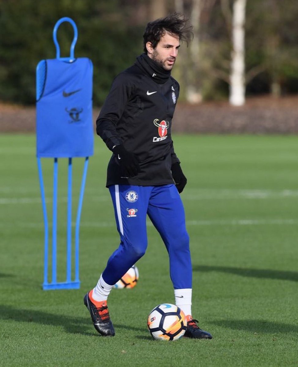 cesc fabregas puma