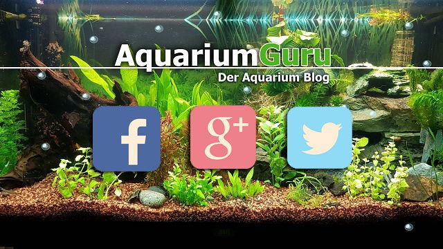 Marketingtte's tweet photo. Social Post https://t.co/WDch33ktMi https://t.co/psn8Kx7CBC