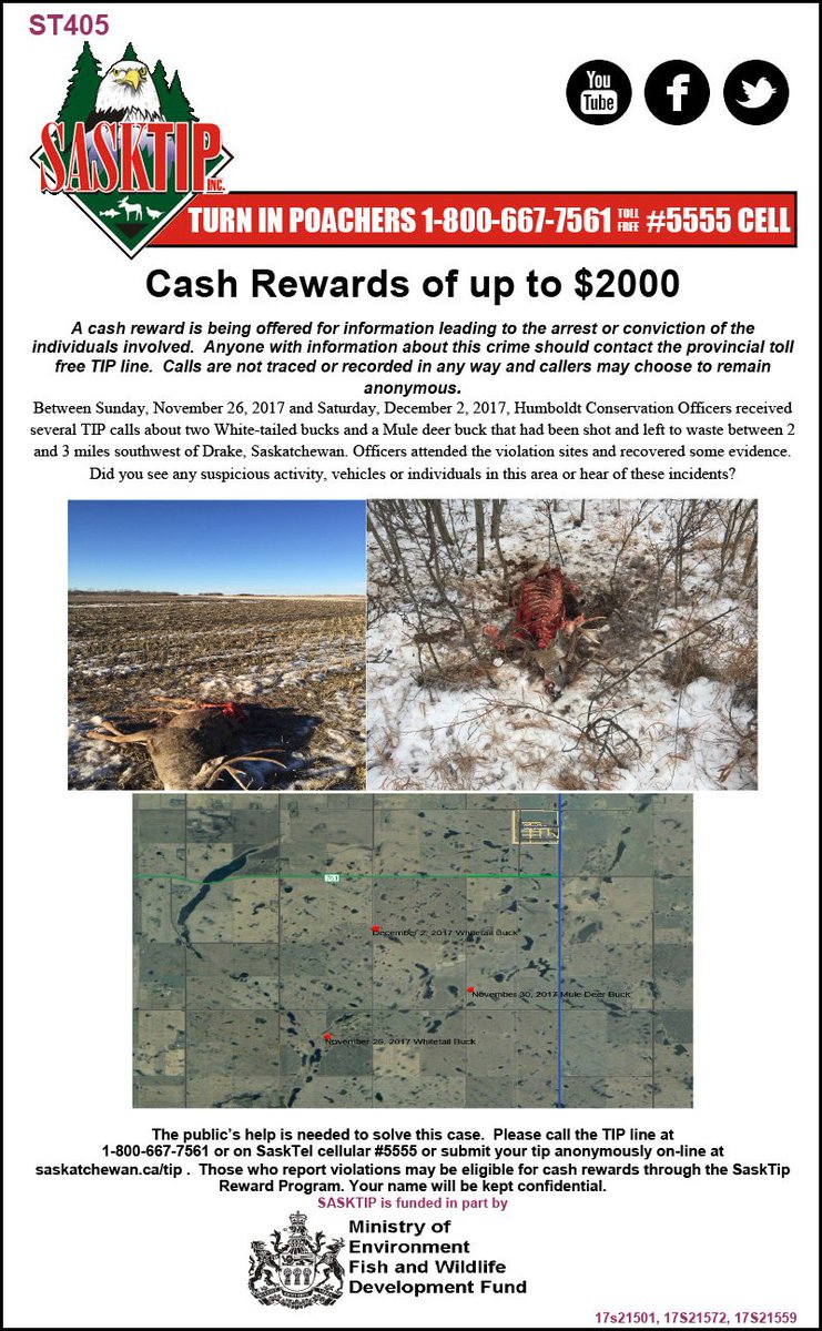Sasktip's tweet image. Check out these unsolved cases regarding waste of game from the Humboldt and Hudson Bay Field Offices. If you have any info call the TIP line 1-800-667-7561 or report online at saskatchewan.ca/tip. #sktip