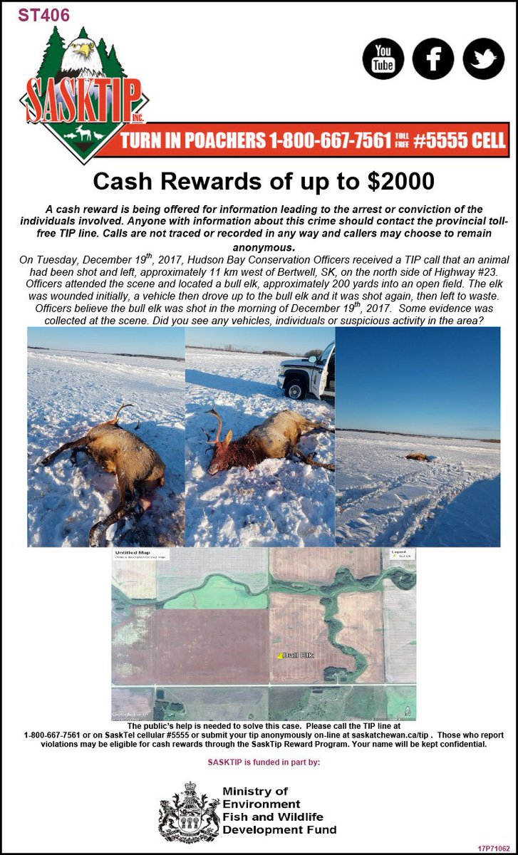 Sasktip's tweet image. Check out these unsolved cases regarding waste of game from the Humboldt and Hudson Bay Field Offices. If you have any info call the TIP line 1-800-667-7561 or report online at saskatchewan.ca/tip. #sktip