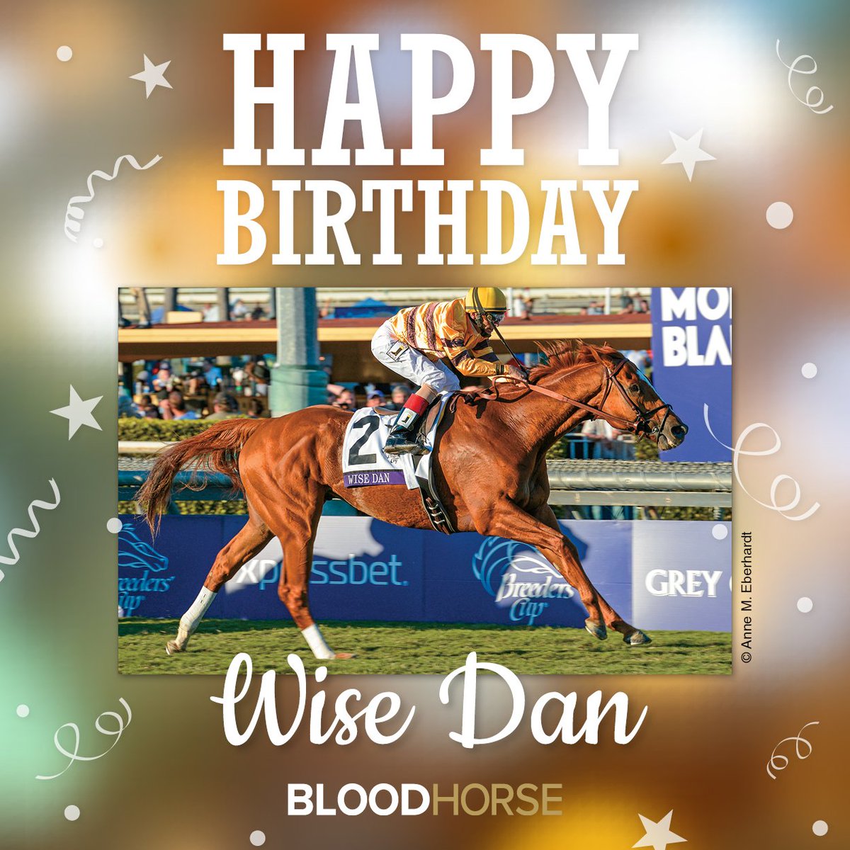 BloodHorse's tweet image. Celebrating the birthday of 2-time Horse of the Year Wise Dan, born on February 20, 2007.