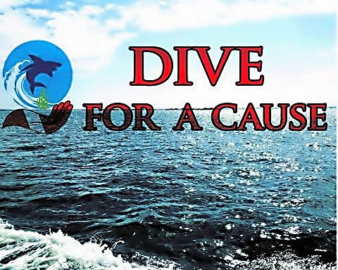 DiveForACause's tweet image. Help us get a @GreatNonprofits 2018 Top-Rated Award, write a review of your experience or thoughts on @DiveForACause ! 
greatnonprofits.org/org/dive-for-a…