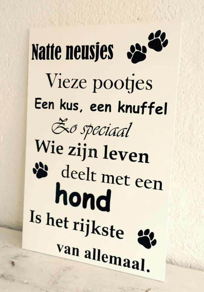 Petra MediumTarotLady (@orakellady) on Twitter photo 