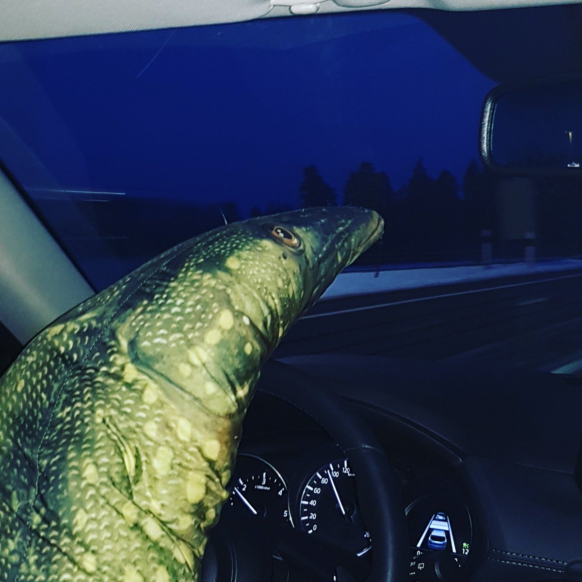 gaddanbenn's tweet photo. Man får ju ställa upp för  @NW9971  när han behöver lite vila. Bff❤ https://t.co/JkApLIDKxC