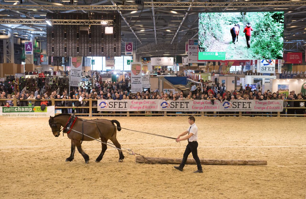 Ça approche ! La SFET travaille sur l'organisation du #SIA2018 avec toutes les Associations Nationales de Race <a href="/Salondelagri/">Salon International de l'Agriculture</a> <a href="/comexposium/">Comexposium</a> <a href="/cga_paris/">Concours Général Agricole</a> @Min_Agriculture  😀🐴
📆 RDV Porte de Versailles - Hall 2.1 - 24/02 au 04/03 #Paris