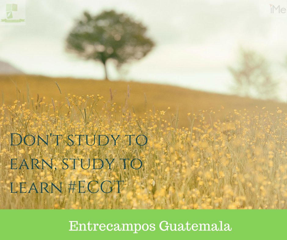 entrecamposgt's tweet photo. Couldn't be any more true #ECGT https://t.co/ETEdo4c9vY