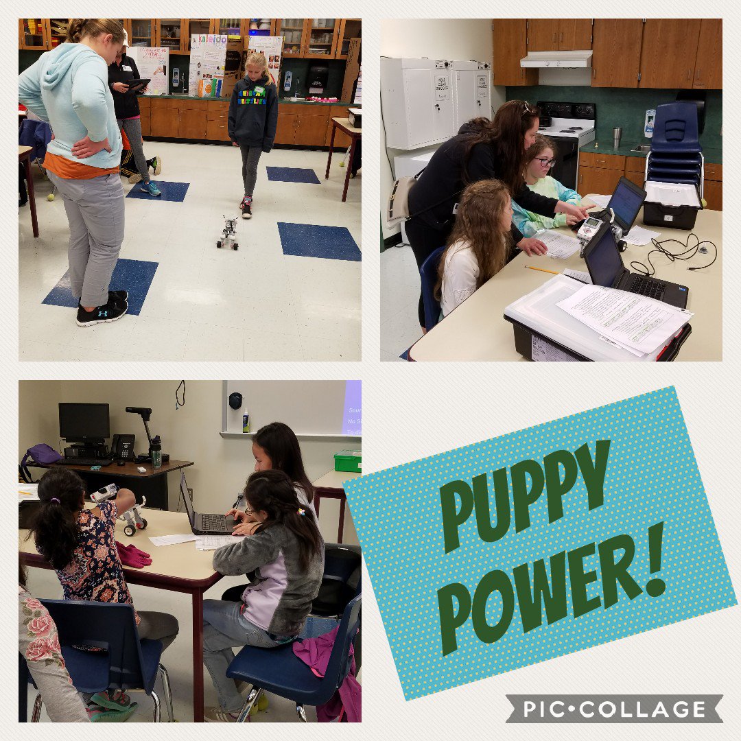 moya_amelia's tweet photo. Puppy Power! Coding Robolab puppies is awesome! Thank u CCE PTA @jenn_unplugged @FrancescaSerra2  @CanyonCreekElem @CCEReads @sfloresRRISD #RRISD1family https://t.co/f4ZN1PD2KW