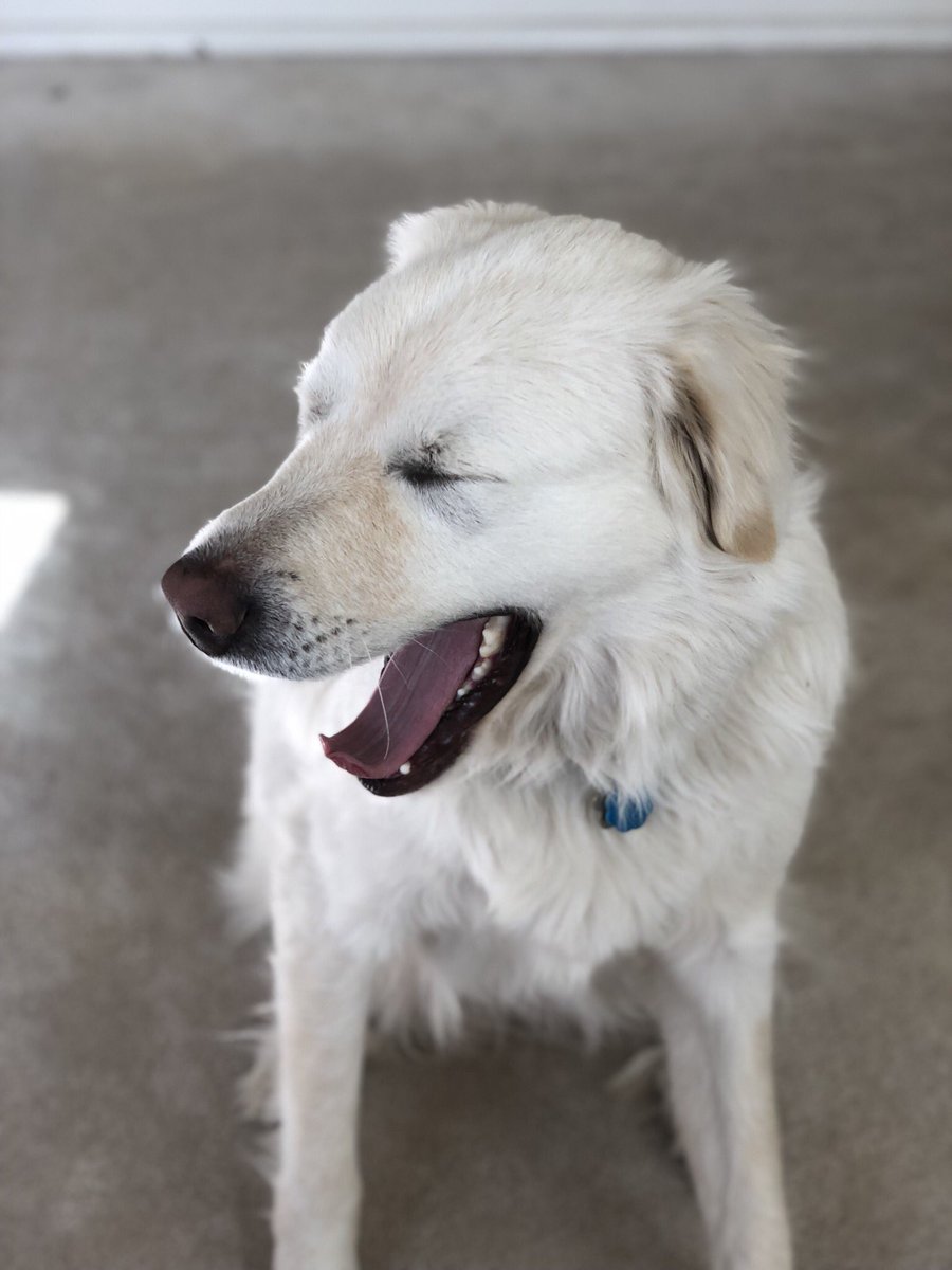 olivvverrr's tweet photo. iPhone X got Grey looking like a masterpiece https://t.co/DqJKoie5IR