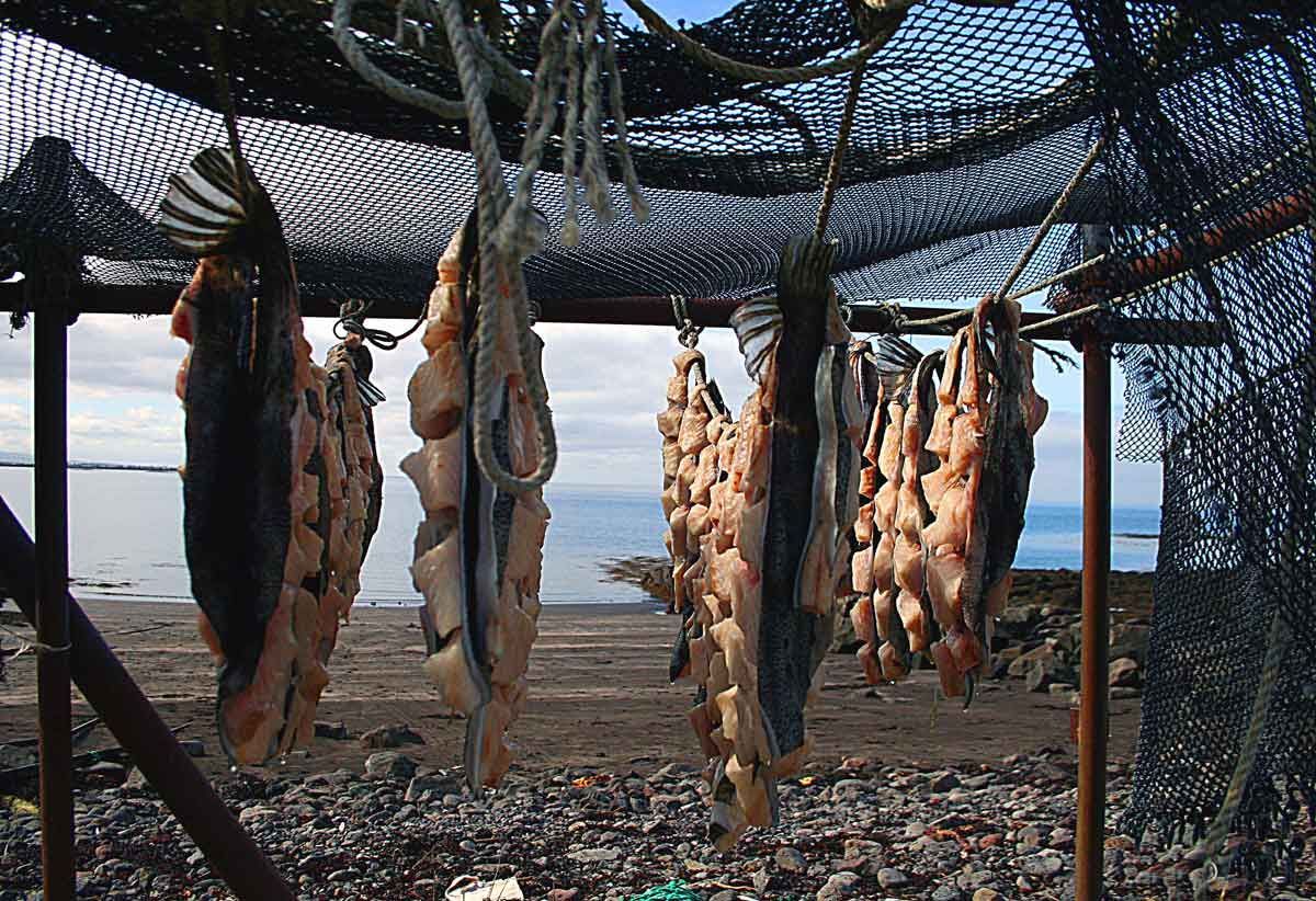 IceSif's tweet photo. Icelanders are celebrating þorrablót right now with #VikingSnacks like Harðfisk aka dried fish jerky slathered in butter. https://t.co/jL02JnnSTX https://t.co/S0hnDjynXb