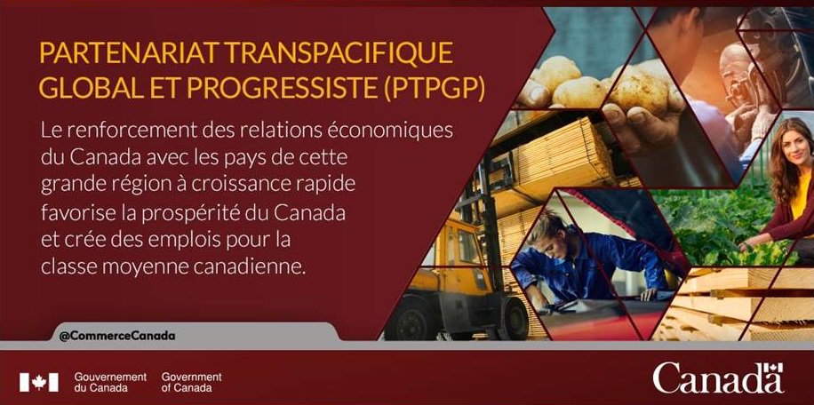 CommerceCanada's tweet photo. Déclaration du ministre du Commerce international à propos des discussions relatives à l’Accord de Partenariat transpacifique global et progressiste: https://t.co/dNbI5jVMI2 https://t.co/ctKEWzIZKJ