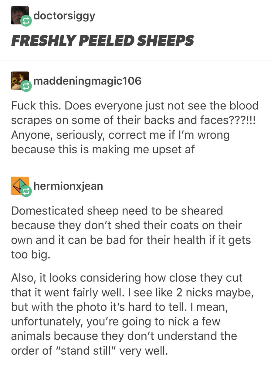 peel your sheeps (jerkury) Twitter