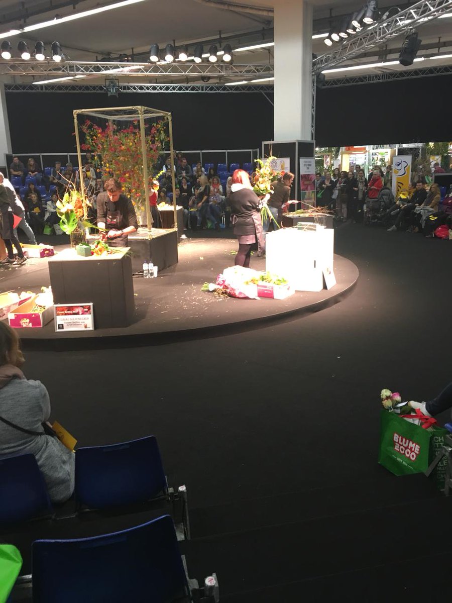 diixonscrossbow's tweet photo. #IPM2018 #FlowerBattle https://t.co/Ahk3UaORTW