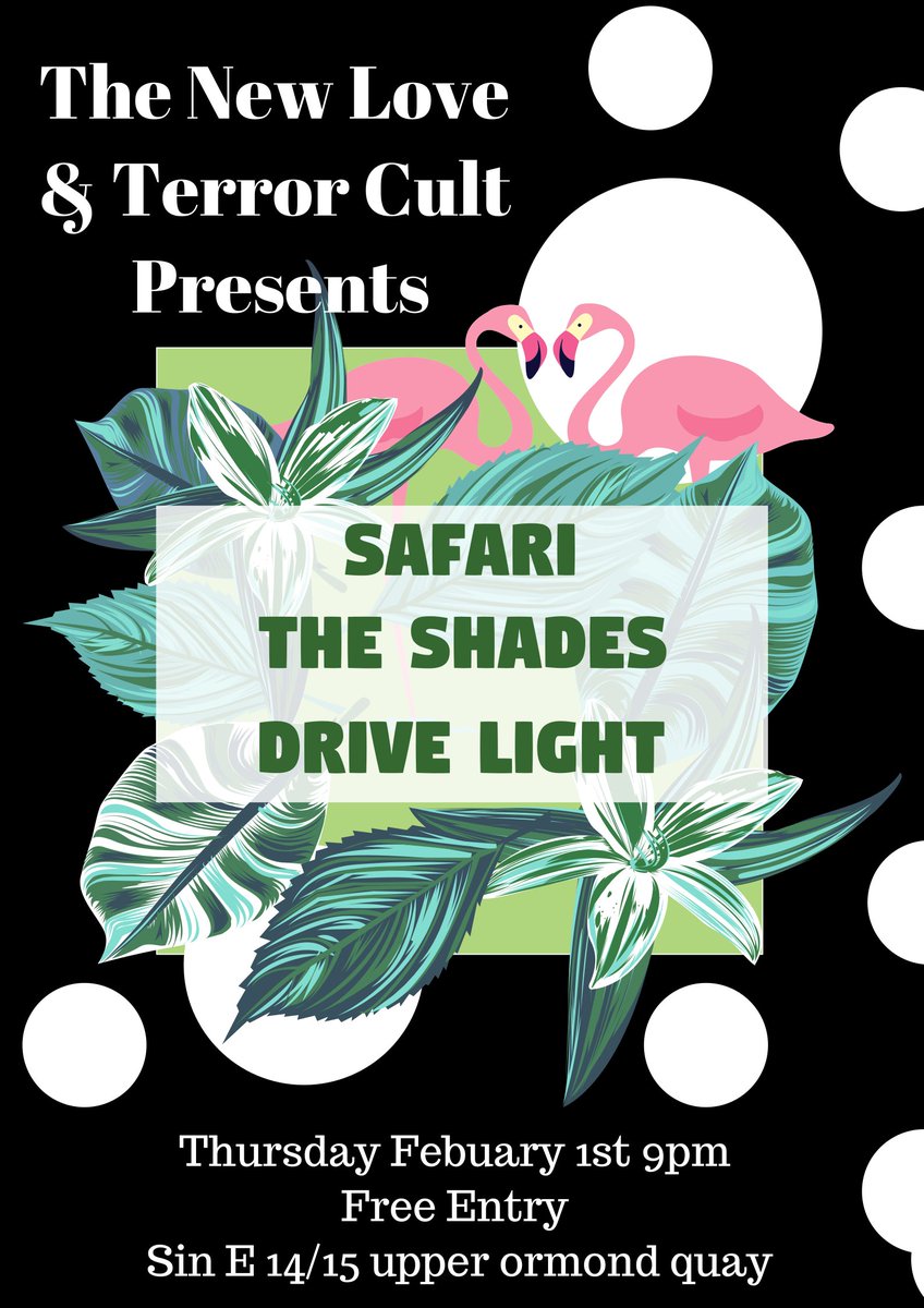 NTerrorcult's tweet photo. February 1st at @Sin_E_Dublin with at @safari_band @TheShadesDublin &amp; @drivelightmusic Free Entry #rocknroll https://t.co/eT14zUDFUA
