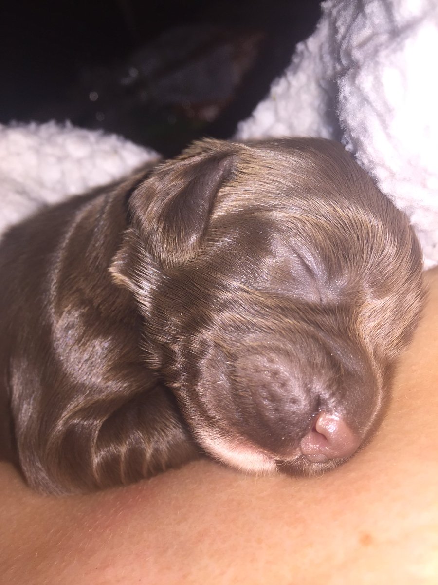 AylaMurray1's tweet photo. Just in case anyone’s having a bad day 😩😍 https://t.co/rZaDisQnui
