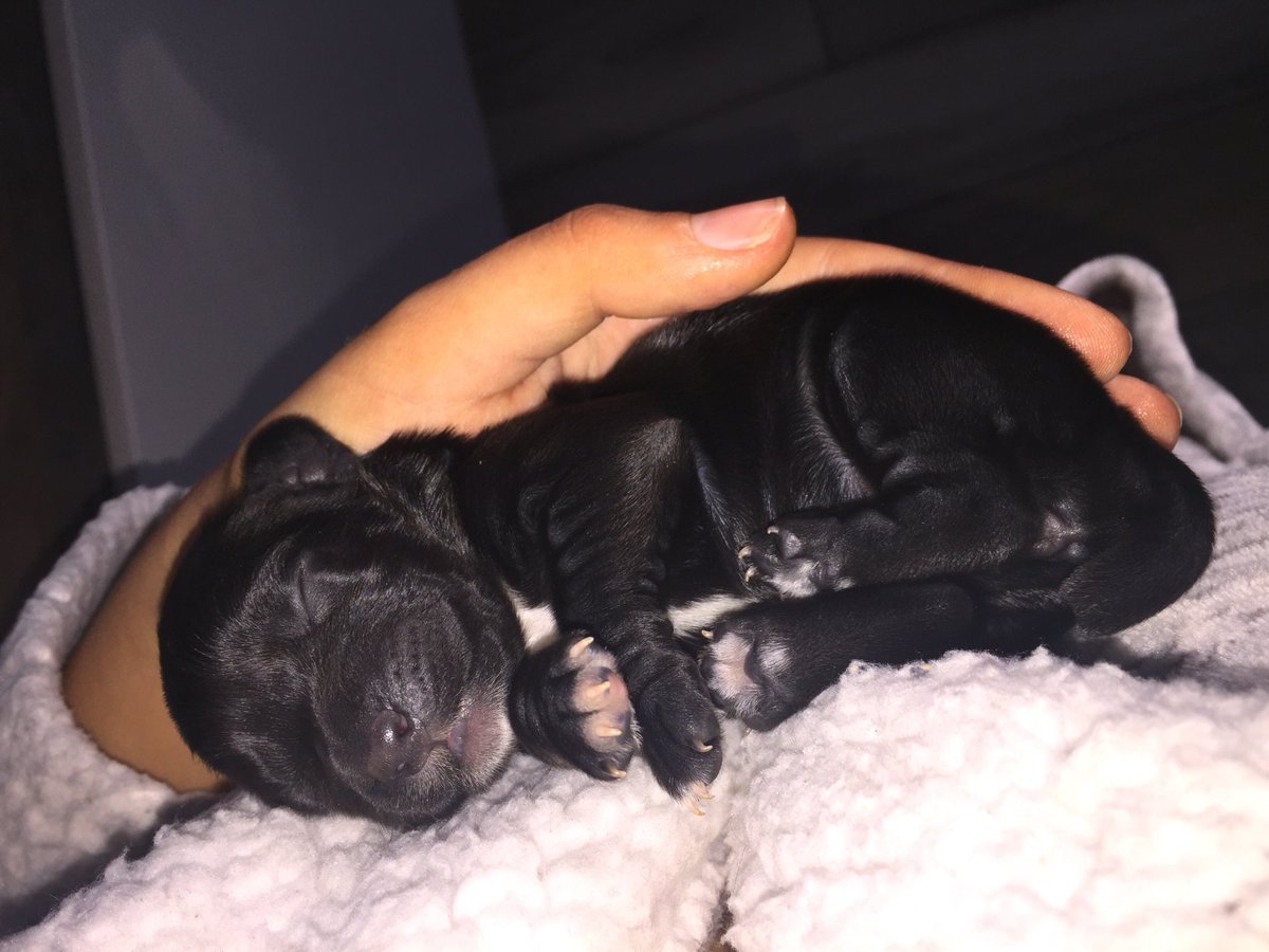 AylaMurray1's tweet photo. Just in case anyone’s having a bad day 😩😍 https://t.co/rZaDisQnui