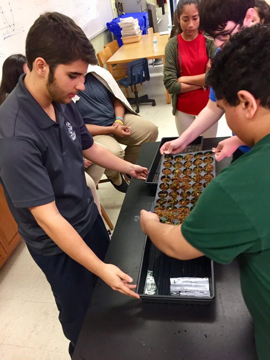 andrewkearns64's tweet photo. @josemartimast #botany students leading students from @MAMilamK8 as they fertilize rare native orchids! #BotanyAdventures #mast1718 @MDCPSNorth @FairchildGarden @fl_native_plant https://t.co/QcKetTdRuR