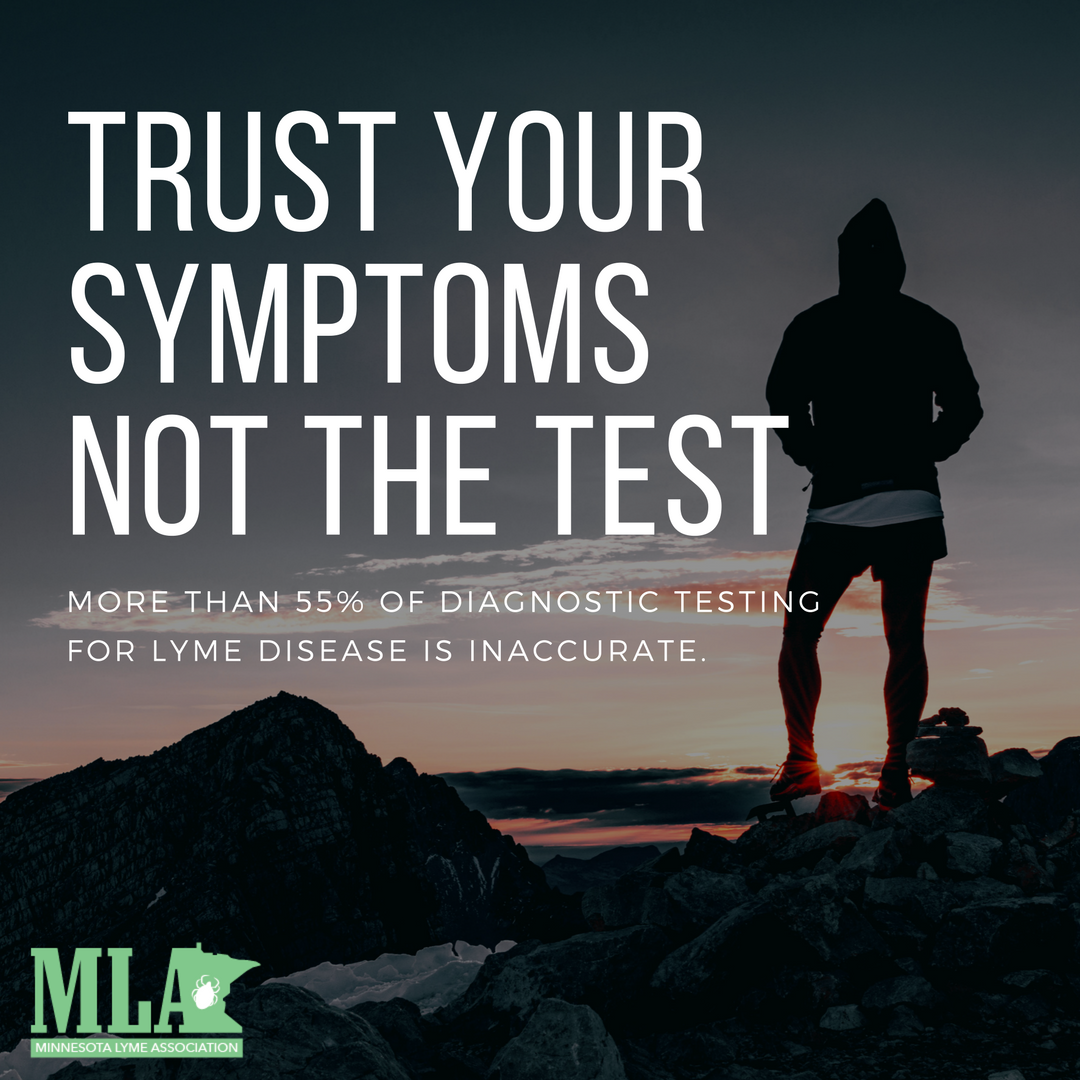 MN Lyme (@mnlyme_org) on Twitter photo 