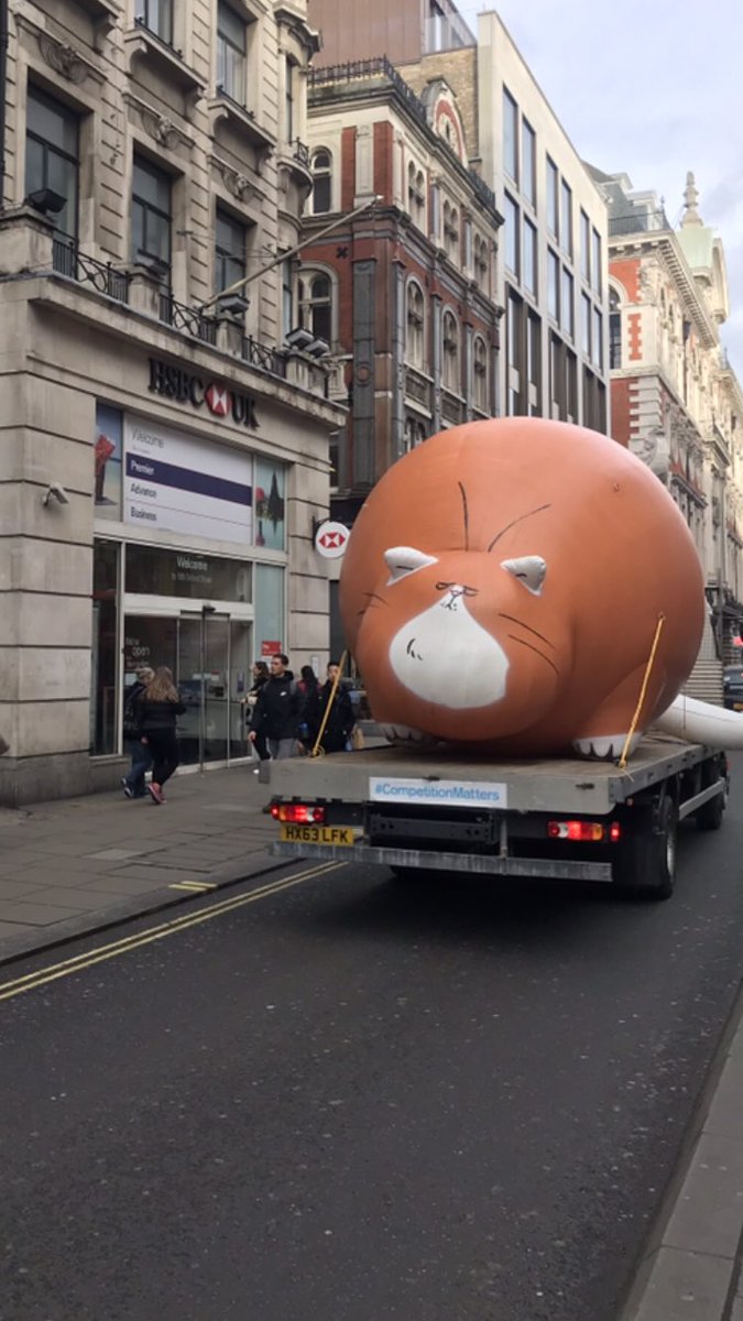 #fatcats #competitionmatters <a href="/TSB/">TSB</a>