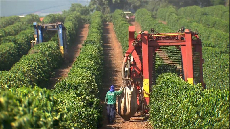 FEMAGRI 2018 quer melhorar o futuro da produção de café revistaplantar.com.br/femagri-2018-q…