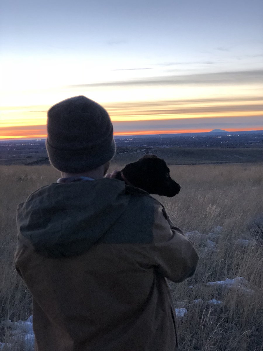 TannerFullmer's tweet photo. To say I’m obsessed with my pooches is an understatement! 😍🐶🐶 https://t.co/WxPORlornW