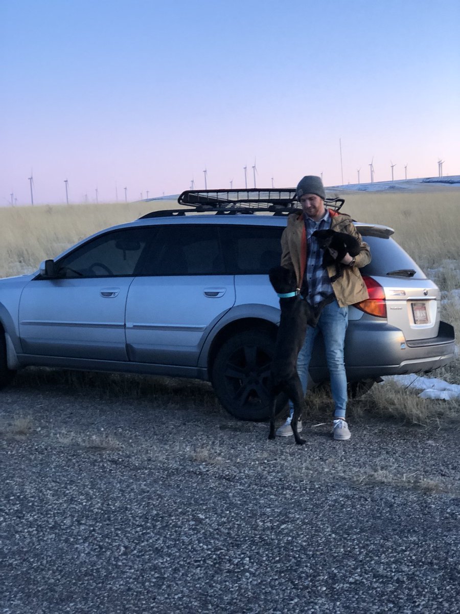 TannerFullmer's tweet photo. To say I’m obsessed with my pooches is an understatement! 😍🐶🐶 https://t.co/WxPORlornW