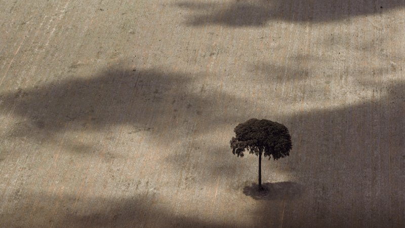 Estratégia para redução de gases de efeito estufa na agropecuária são iniciadas revistaplantar.com.br/estrategia-par…