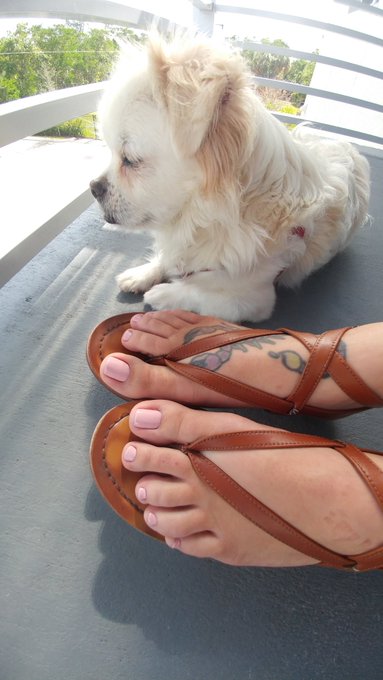 Just for you @paulyhorses https://t.co/UoutdnlwIt<a class="tags" target="_blank" title="On Twitter" href="/?out=eyJ0eXAiOiJKV1QiLCJhbGciOiJIUzUxMiJ9.eyJpYXQiOjE3MTk4NjU5OTIsImlzcyI6InR3cG9ybnN0YXJzLmNvbSIsIm5iZiI6MTcxOTg2NTk5MiwiZXhwIjoxNzUxNDAxOTkyLCJyZWRpcmVjdF91cmwiOiJodHRwczovL3R3aXR0ZXIuY29tL3BhdWx5aG9yc2VzIn0.SiBEDFGEiIhBUtQfMd1KN2zfAqMughjcE7pTWOTWPMJz-NgoSQjKtjeS25QDNp4cSb8r45faPQTbKwwoNDFAHw">@paulyhorses</a><a href="/tag/throwbackthursday"class="tags"><span>#throwbackthursday</span></a>