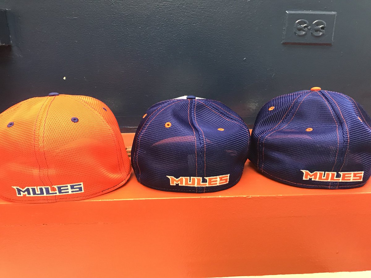Malverne Athletics tweet media