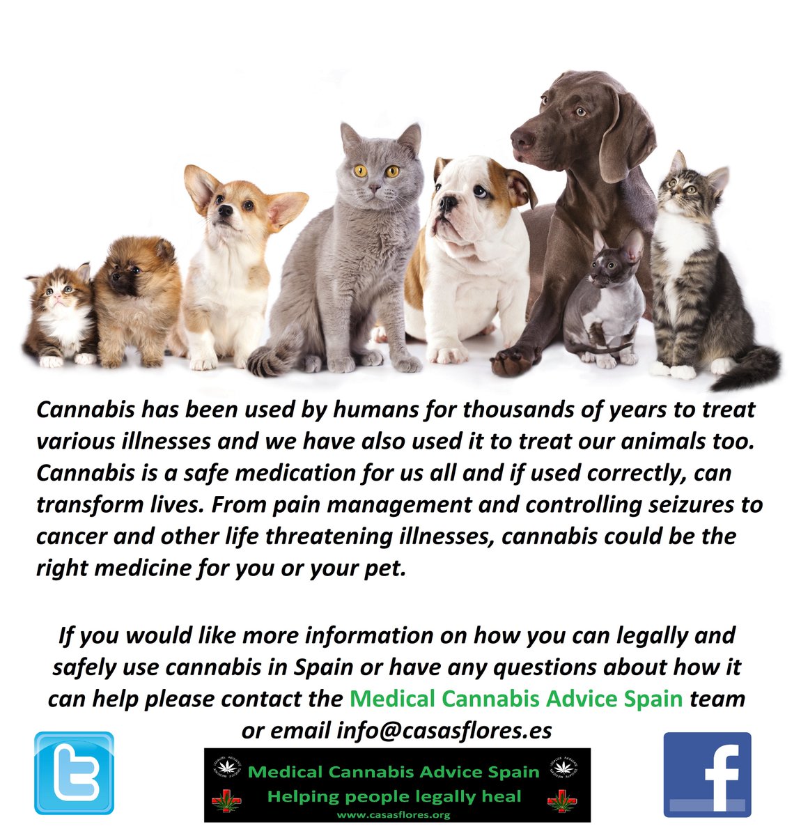 If it's good enough for you then it's good enough for your pets! 

#CannabisForPets
#PotForPets #THC 
#CBDoil #Cannabis 
#cannabiscommunity 
#MedicalCannabis 
#medicalmarijuana 
#Dogs #Cats #Pets 
#CannabisIsMyMedicine 
#LegaliseCannabis 
#AninmalLover #AnimalPeople
#RETWEET