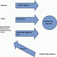 read trace element analysis in