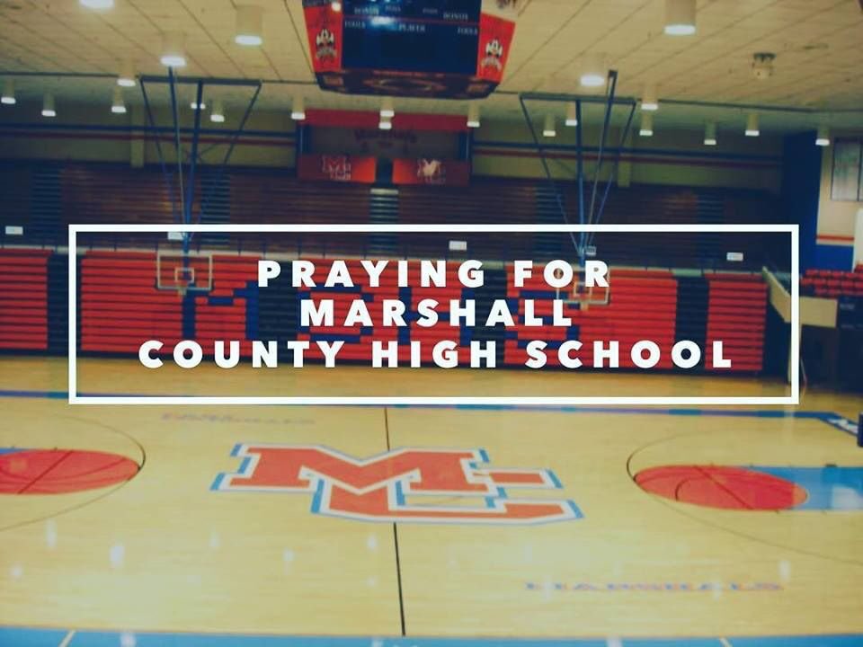 TheAndyGibson's tweet image. 