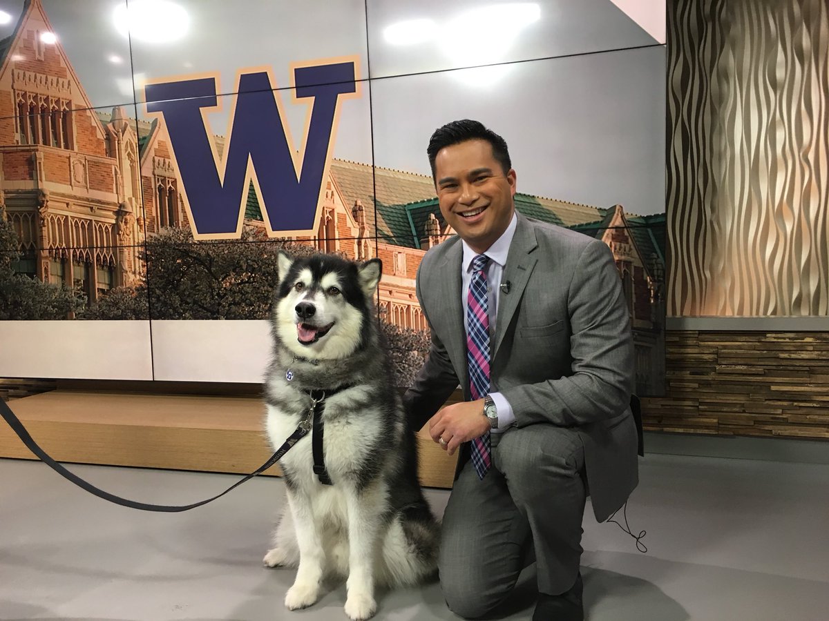 Brian Flores (@brianflorestv) on Twitter photo So great meeting “Dubs” the @UWMascot this morning! Dubs is retiring after the 2018 football season. <a href="/Q13FOX/">Q13 FOX Seattle</a> So great meeting “Dubs” the @UWMascot this morning! Dubs is retiring after the 2018 football season. <a href="/Q13FOX/">Q13 FOX Seattle</a>