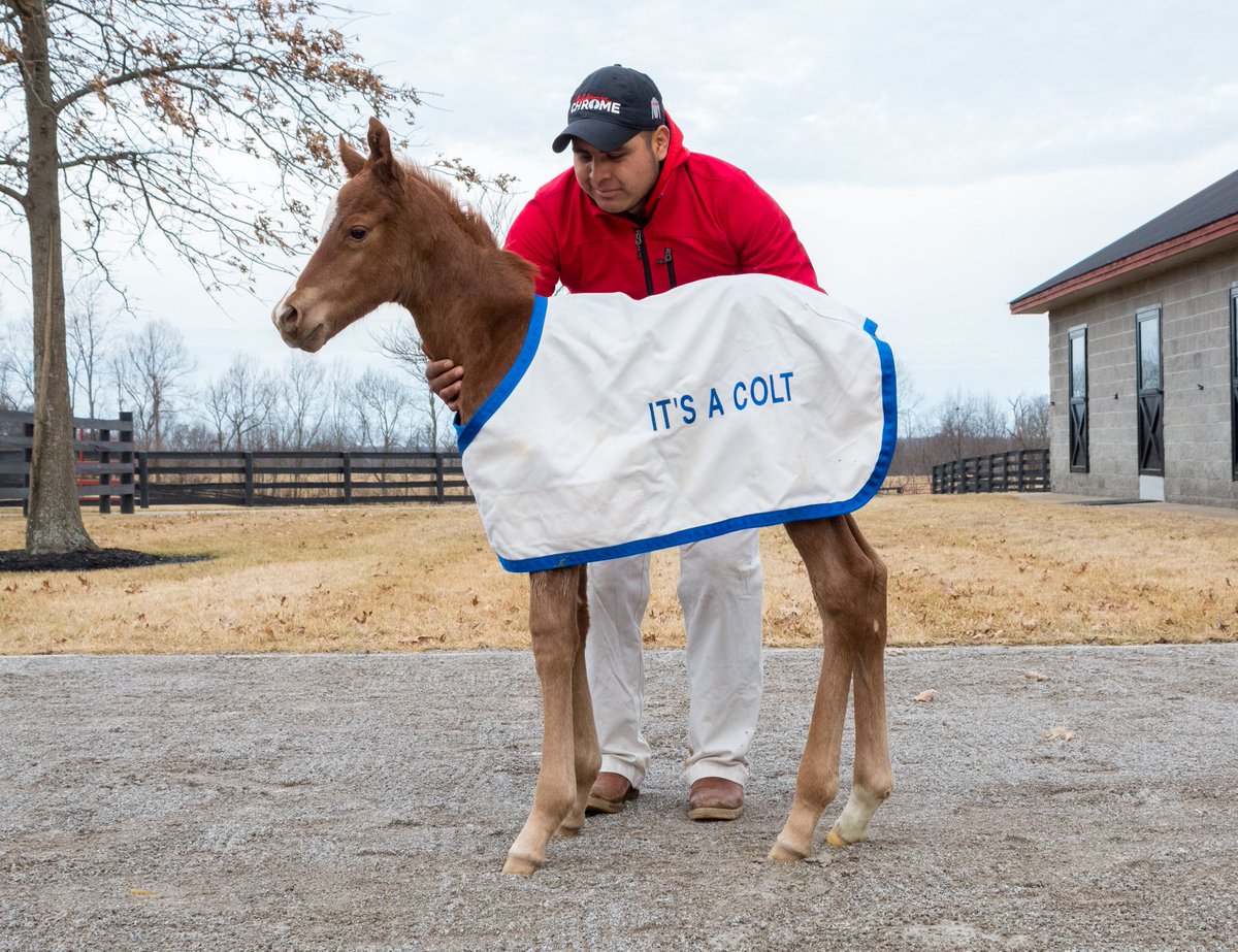 CalChrome's tweet image. That's my boy!