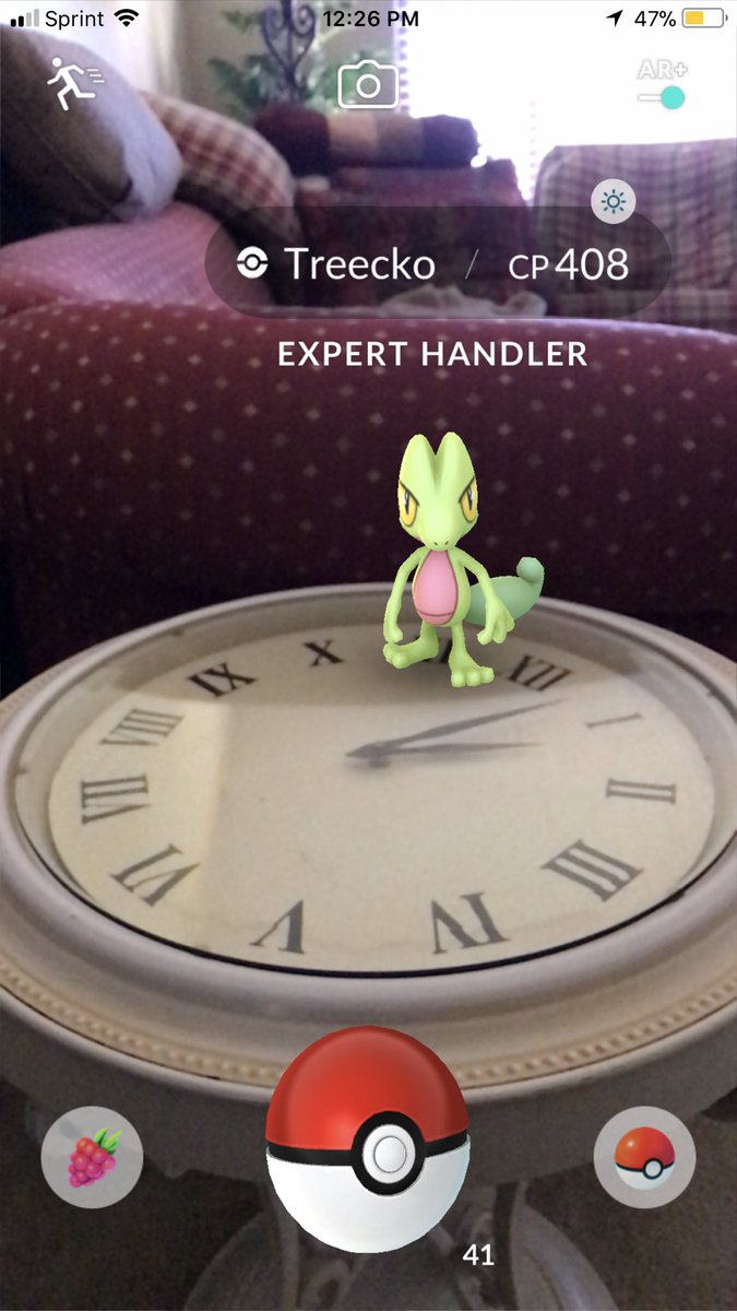 sara_snacks's tweet image. #Treecko #ExpertHandler #Noaccuratethrowbonus ugh!