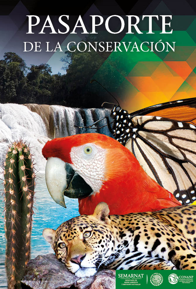 ¿Ya conoces el Pasaporte de la Conservación? el objetivo es que puedas visitar las Áreas Protegidas del país durante un año, todas las veces que así lo desees, haciendo un solo pago anual. <a href="/PnIztaccihuatl/">Parque Nacional</a> …saportedelaconservacion.conanp.gob.mx/vistas/inicio.…