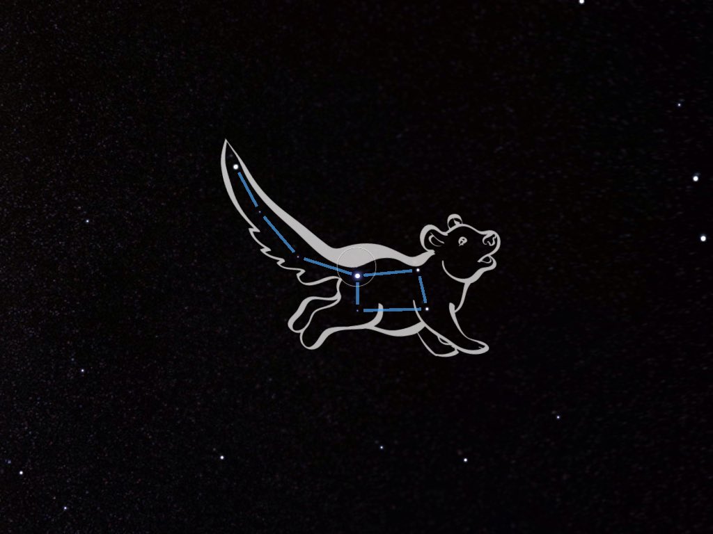 #SkyViewAppkori miller