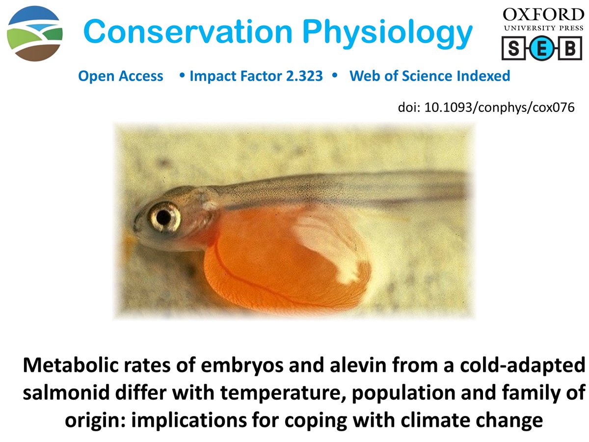 conphysjournal's tweet photo. There is variation in routine metabolic rate and mass within and among populations of brook trout embryos and alevins, which may indicate existing adaptive potential to respond to predicted warming under climate change scenarios. https://t.co/f151U4yTil https://t.co/mNSIcAusPV