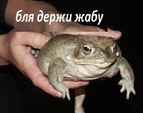 DUQ2TUYWAAAq8k1.jpg