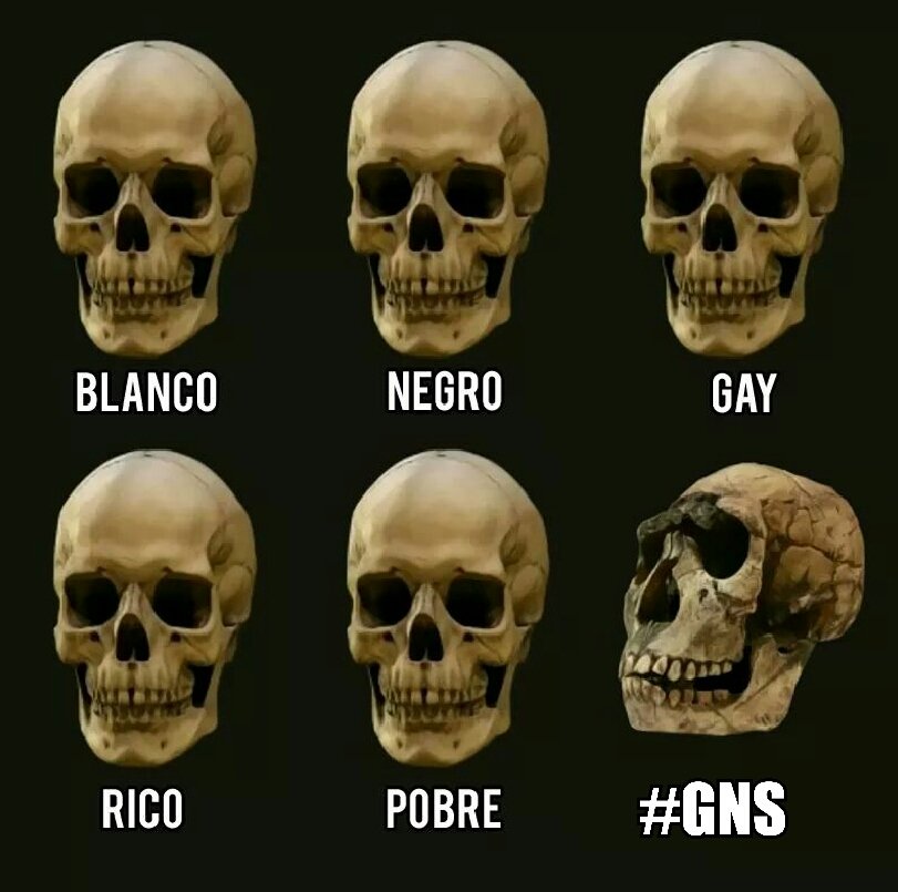 MemesDeChilenos's tweet photo. https://t.co/OO1VbC0luc