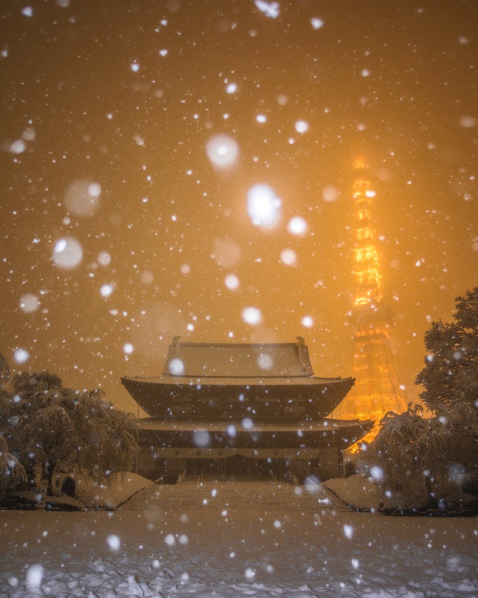 Takaphilography Twitterren 眠れぬ夜は君のせい 東京雪景色 幻想の夜 東京タワー 東京雪景色 増上寺 東京タワーと雪 雪景色 大寒波 東京の冬 絶景 冬夜景 東京夜景 増上寺と東京タワー