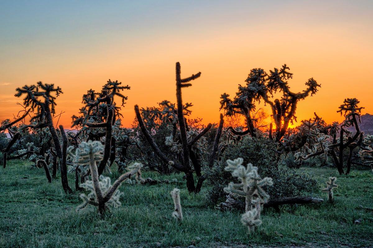 PHXValleyGuide's tweet photo. If you missed the #fullmoon #hikes at @AZStateParks Lost Dutchman State Park, no worries. The actual full moon is tonight, and the park is hosting a gorgeous, easy 1.5-mile #sunset #hike beginning at 5 p.m. https://t.co/u6FCWfrADm
