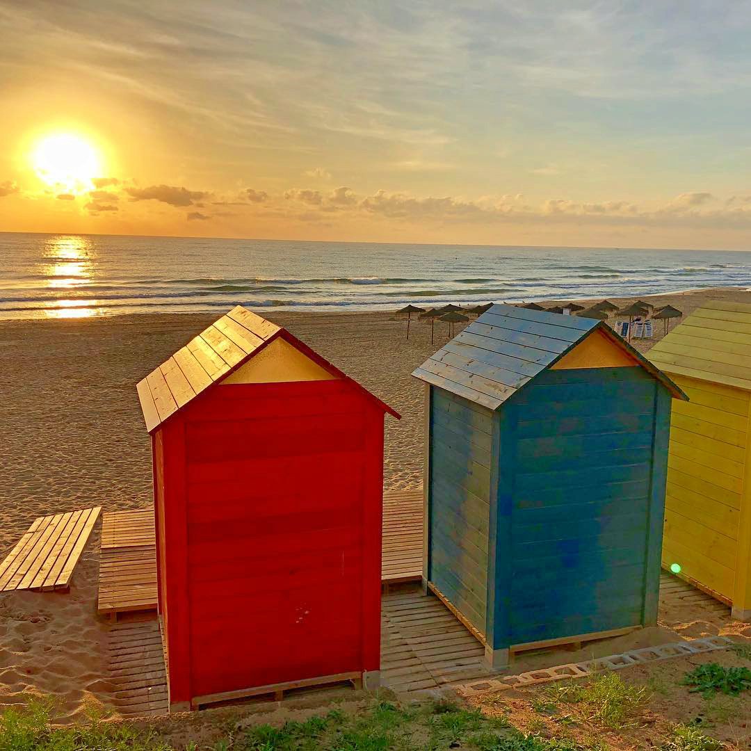MeteOrihuela's tweet photo. ¡#FelizMiércoles! Amanecer desde la Playa de las #MilPalmeras, en #PilarDeLaHoradada (#Alicante) ☀. Imagen: Johan Wagner. https://t.co/RPkY5KOytD