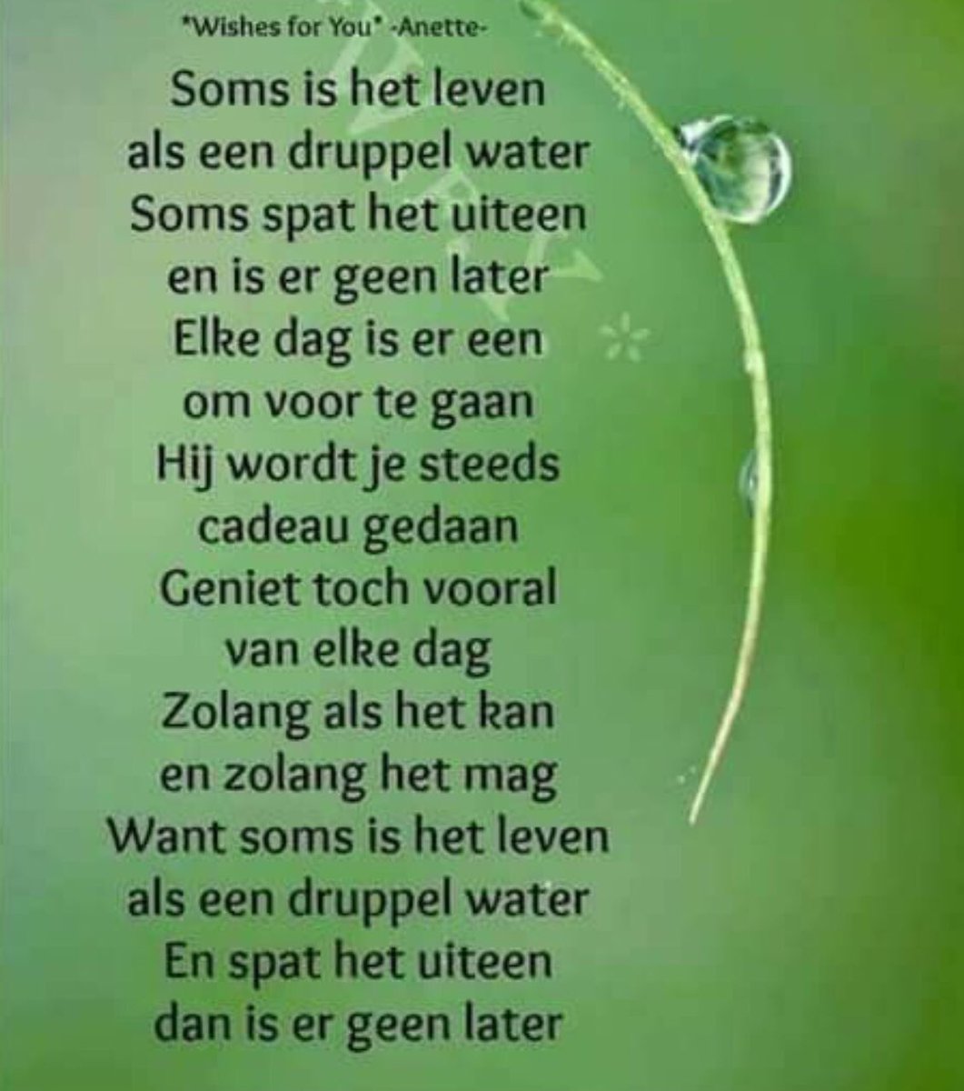 Ook al heb ik nog heel veel last van de gevolgen van het auto-ongeluk in september waarbij een vrachtauto me schepte zijn dit hele ware woorden#dankbaardatikleef